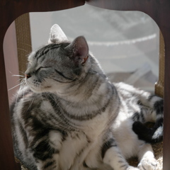 ちょっと眩しかったの