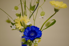花展の花6