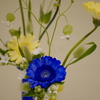 花展の花6
