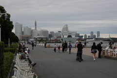 山下公園からみなとみらいを望む