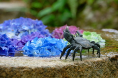 カニ躍る花手水