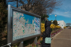 陽射しがあっても寒い