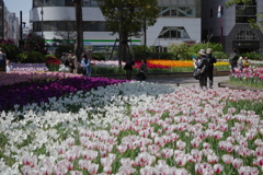 みな思いのままに