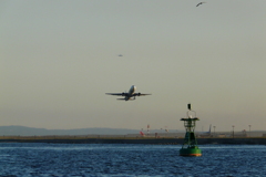 京浜島からの羽田空港