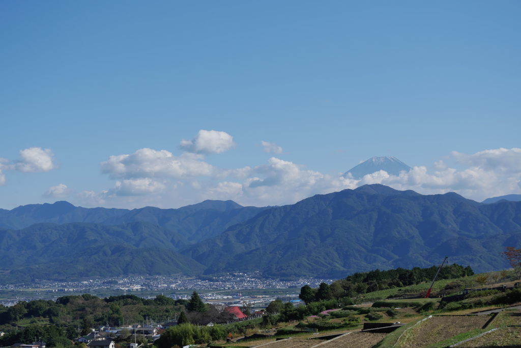 中野の棚田から富士山少し白く