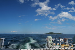 伊勢湾フェリー気持ち良い晴天