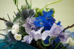 花展の花1