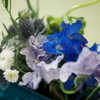 花展の花1
