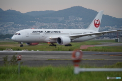 伊丹空港千里川土手　その１（夕方日没前）