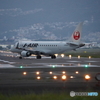 伊丹空港千里川土手　その２（夕方点灯直後）