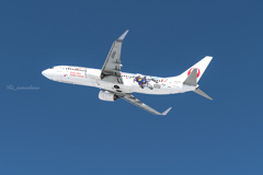 JA342J
