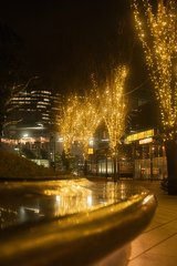 夜活