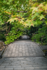 紅葉前階段