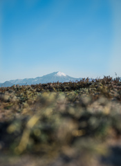 冬の大山