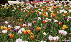 ひとときのあいだ