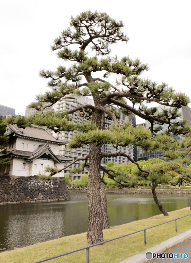 ひとときのあいだ