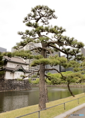 ひとときのあいだ