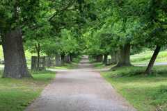 英国の公園にて
