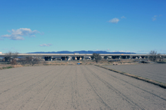 冬の散歩道２