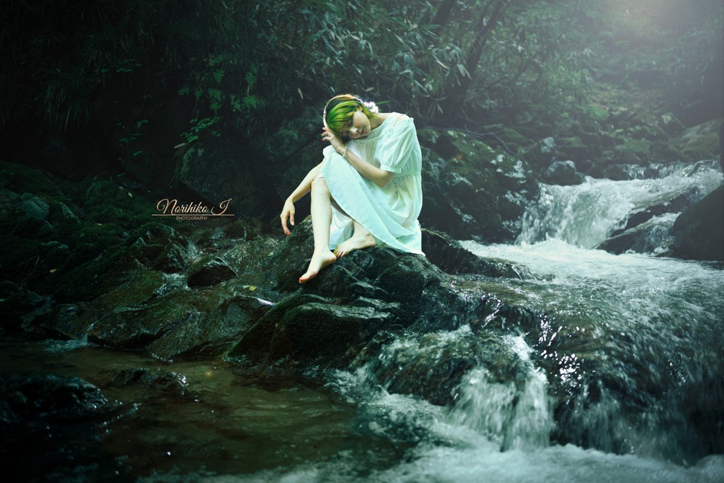 Whispers of the Forest Stream