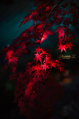 時空を染める幻想の紅葉