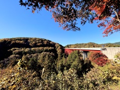 奥出雲おろちループ2