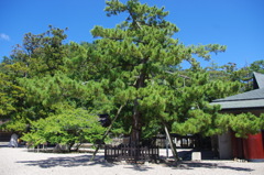 IMGP0946