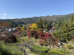 紅葉の風景