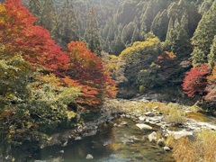 紅葉