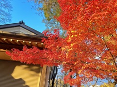 石切劔箭神社1