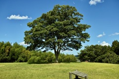 宍道湖ふれあいパーク