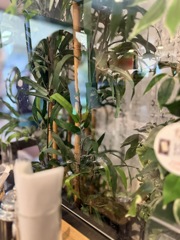 すなばコーヒー