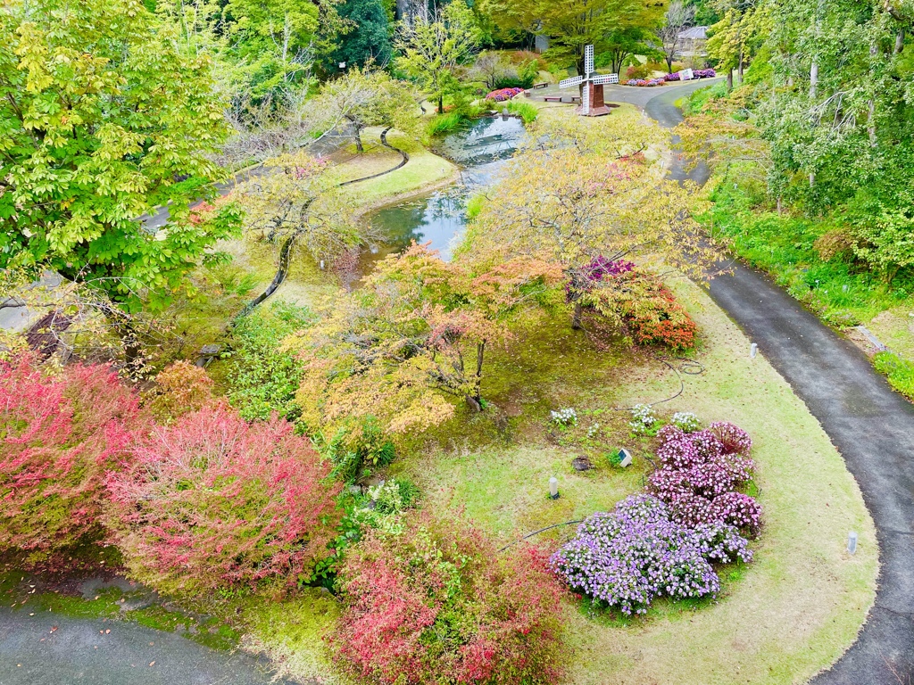 とっとり花回廊1