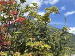 大山みるくの里