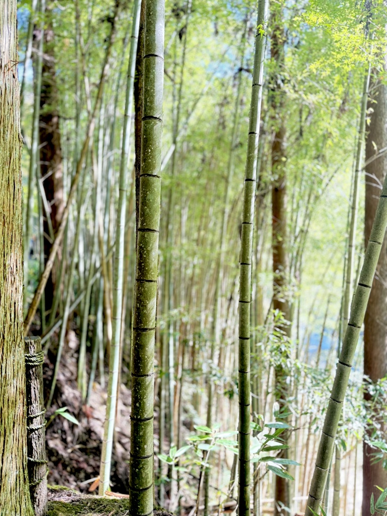 奥津渓1