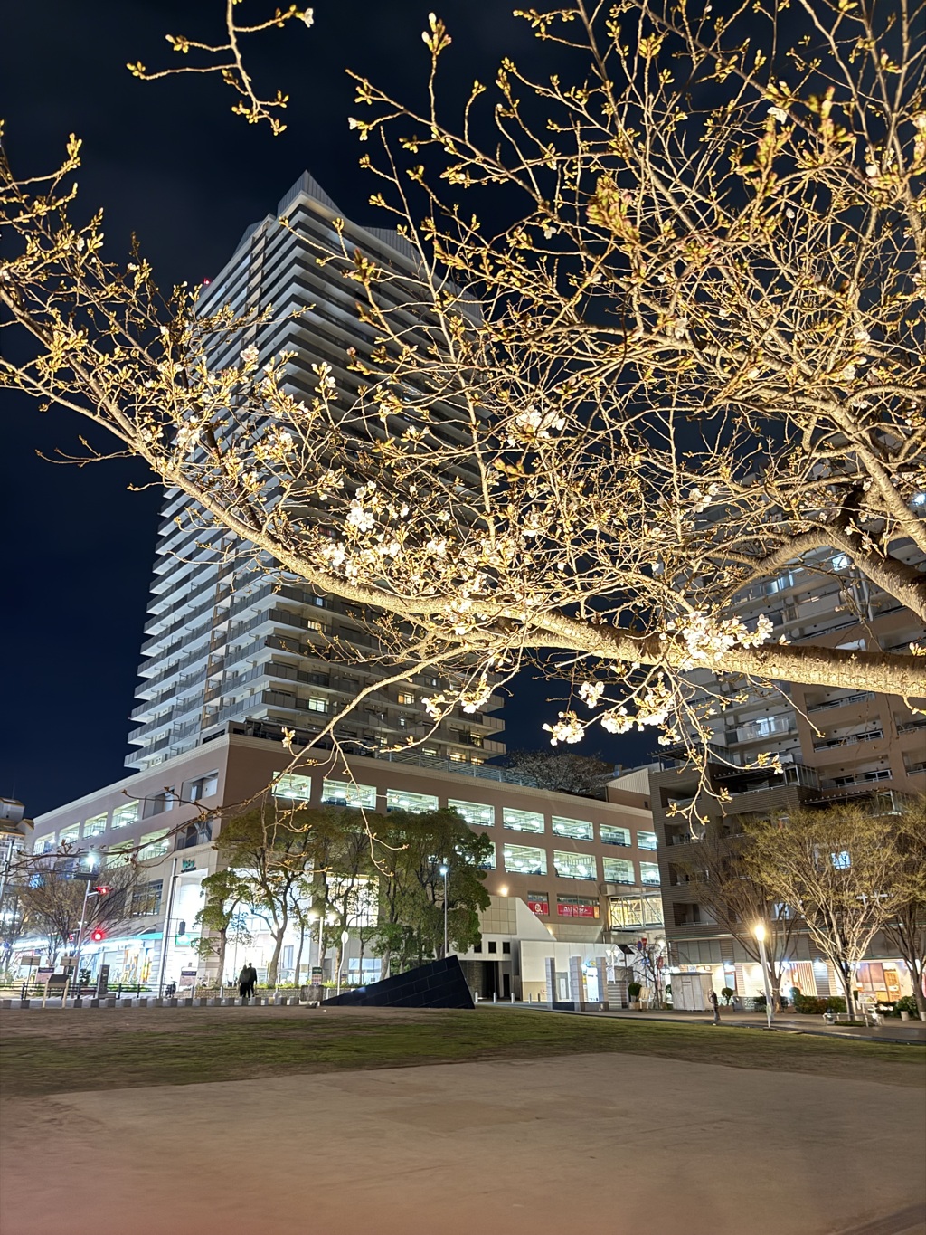 神戸六甲道の夜景