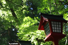 IMGP0803