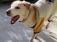 ソーヤのご機嫌な日 ♫ あんまり騒がないソーヤがノリノリに♬.*ﾟ