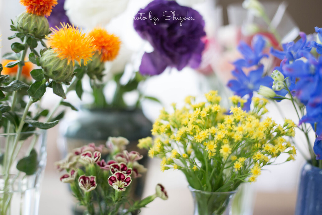 ガラスの花瓶に全部の花を活けようと思った