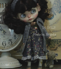 ３匹目の犬(私)は ヌクヌクお家の中で暮らしてる 仕事は人形作家だ