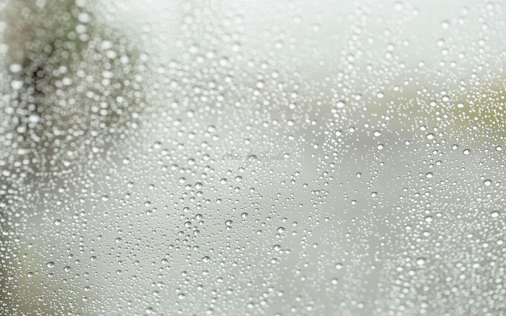 『 雨 』
