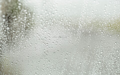 『 雨 』