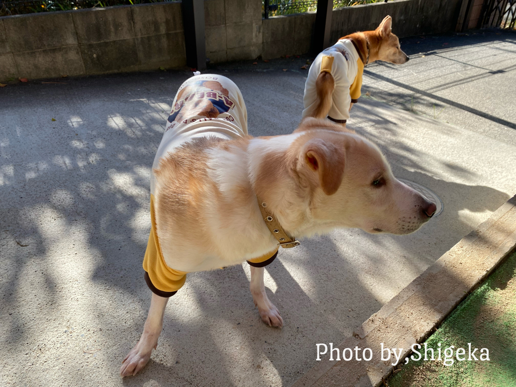 OSORO どっちも少し小さめだった、夏にはCOOLCOOLを買おう ♥