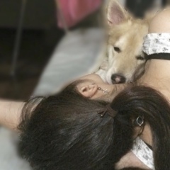 とある日のモツ：母さんが泣いてるとすぐそばに来て舐め続けてくれた