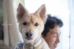 とある日のモツ：散髪してあげた