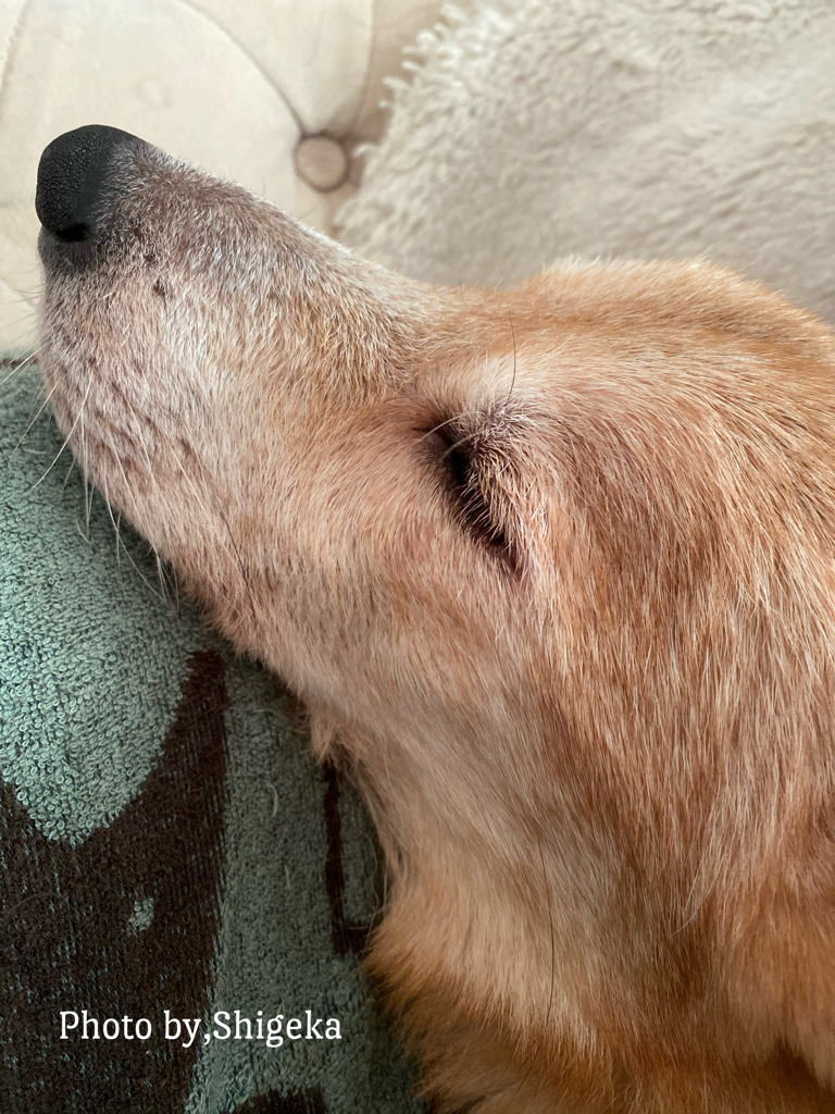 歳をとるということ・・・