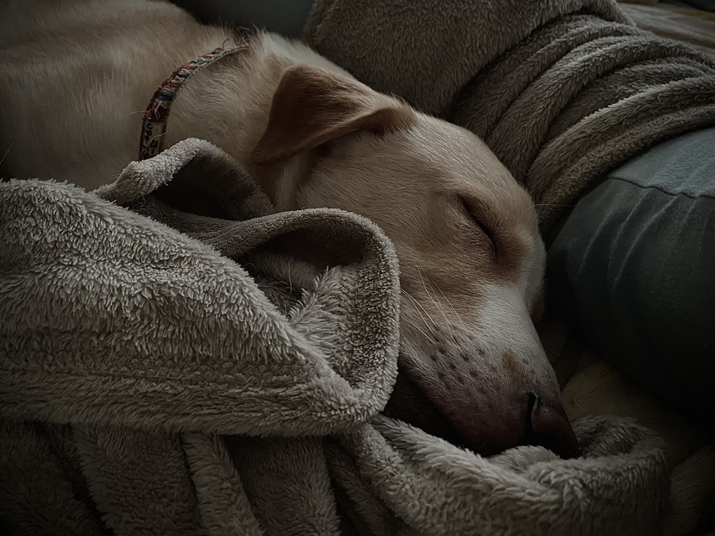 nap time　(3歳)