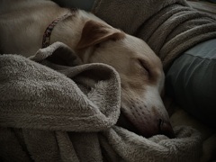 nap time　(3歳)
