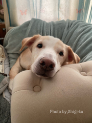 タレ目で可愛いソーヤ、天にだけは唸るおバカさん