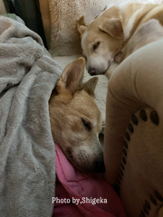 寝た時は近くにいてもいい、ふたりだけの緩いルール